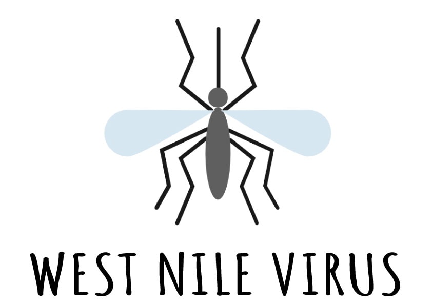 West Nile E Altri Virus 2019 Aggiornamenti Avis Provinciale Bologna