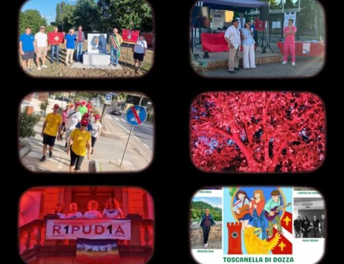 14 giugno, Giornata Mondiale del Donatore: le iniziative delle Avis della provincia di Bologna